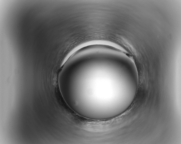 X0000096420025200801311421