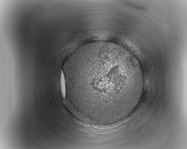 X0000096420026200801311421