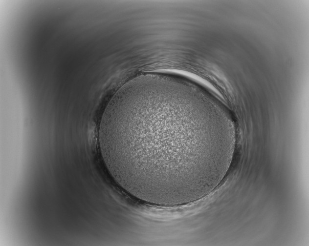 X0000096420029200801311421