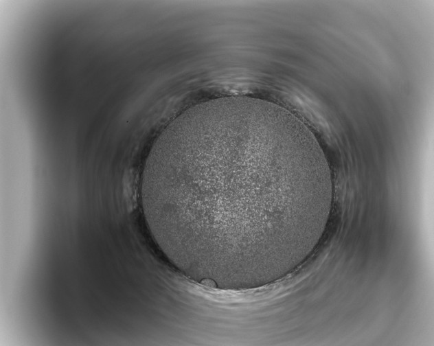 X0000096420030200801311421