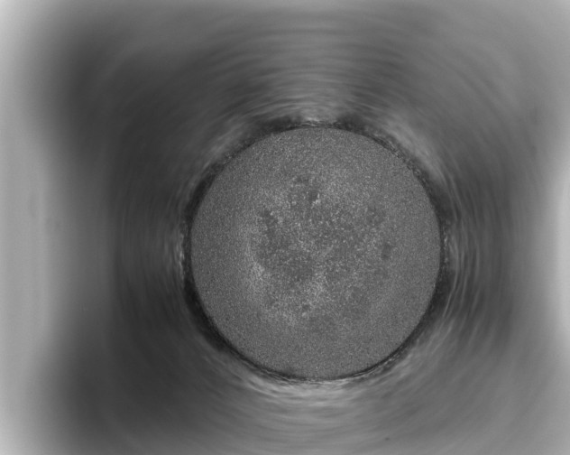 X0000096420032200801311421