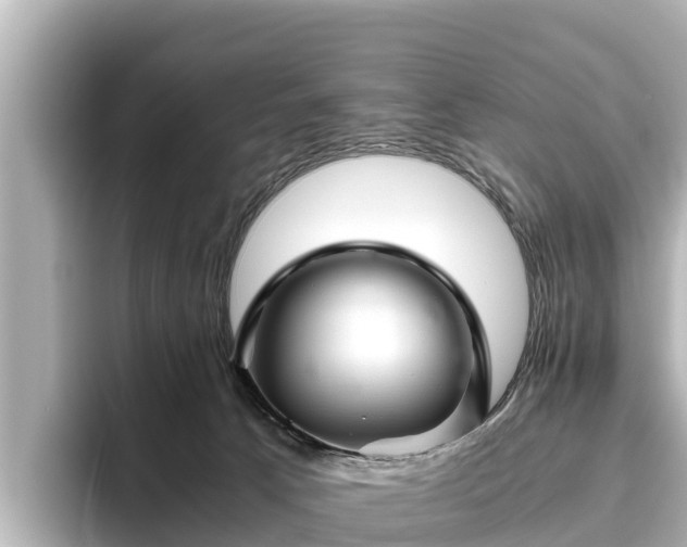 X0000096420033200801311421