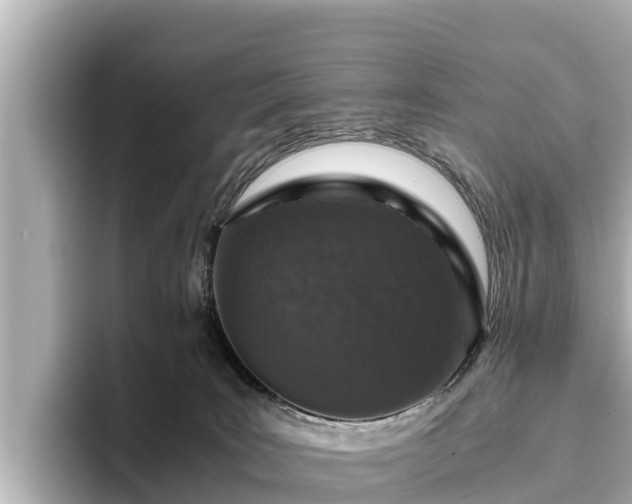 X0000096420035200801311421