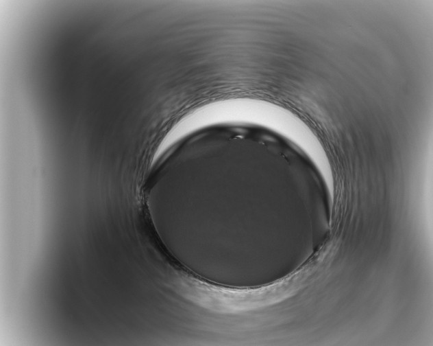 X0000096420039200801311421