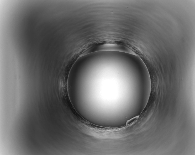 X0000096420040200801311421