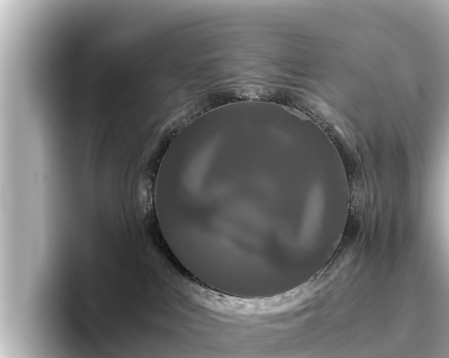 X0000096420043200801311421