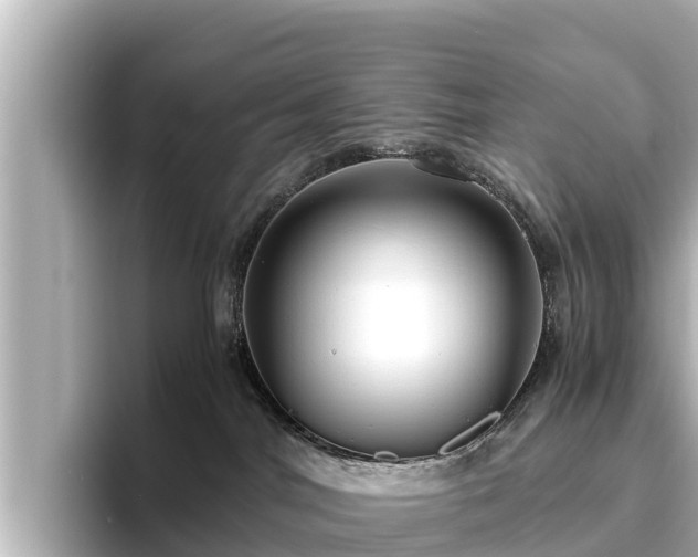 X0000096420044200801311421