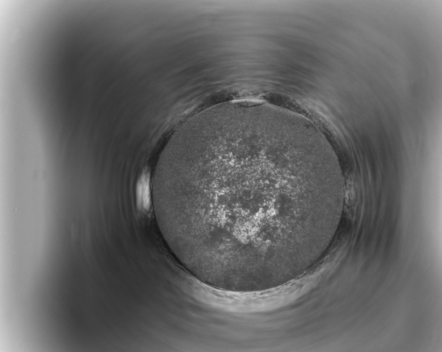 X0000096420046200801311421