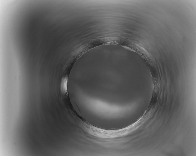 X0000096420047200801311421