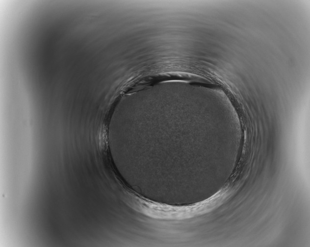 X0000096420048200801311421