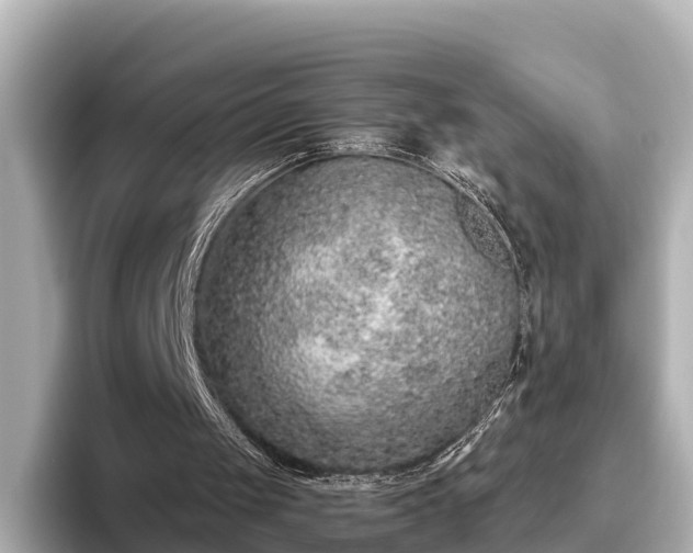 X0000096420049200801311420