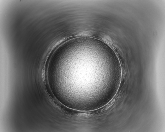 X0000096420050200801311420