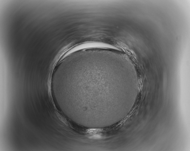 X0000096420051200801311420