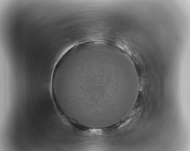 X0000096420052200801311420