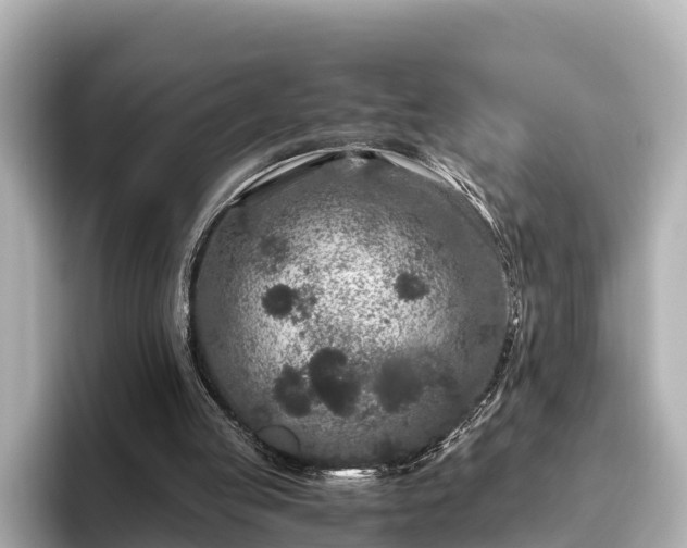 X0000096420053200801311420