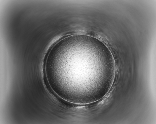 X0000096420054200801311420