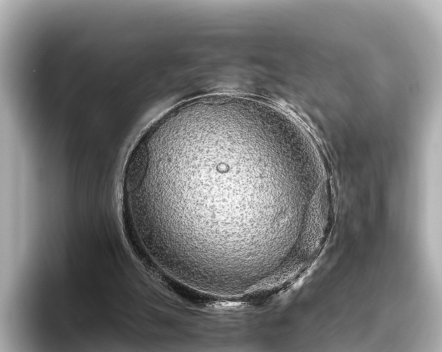 X0000096420055200801311420