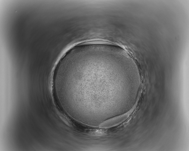 X0000096420056200801311420