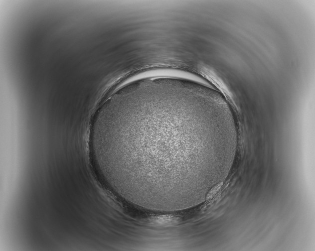 X0000096420058200801311420