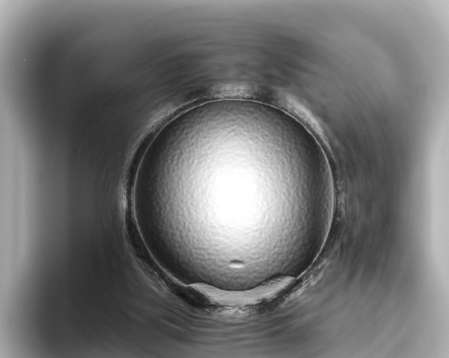 X0000096420059200801311420