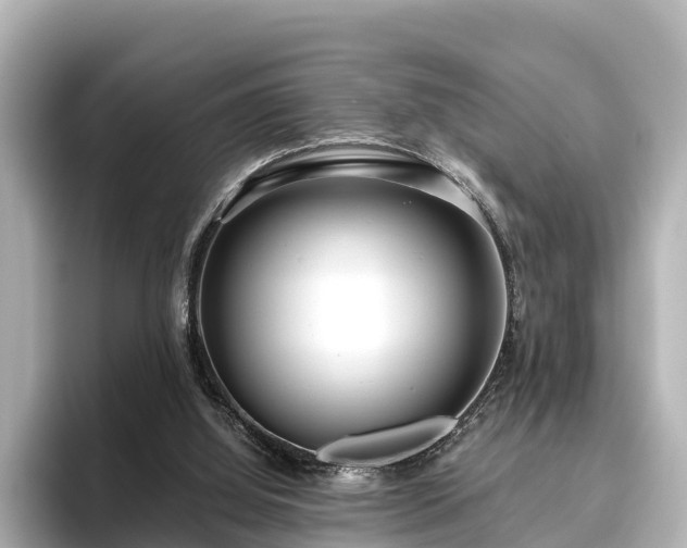 X0000096420060200801311420