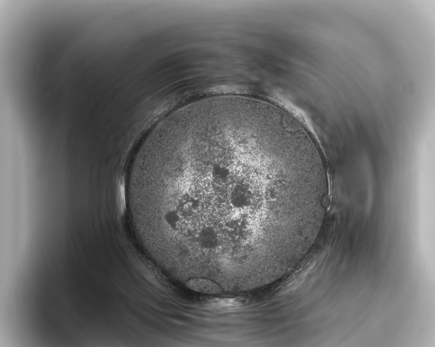 X0000096420061200801311420