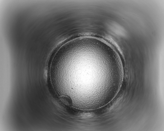 X0000096420063200801311420