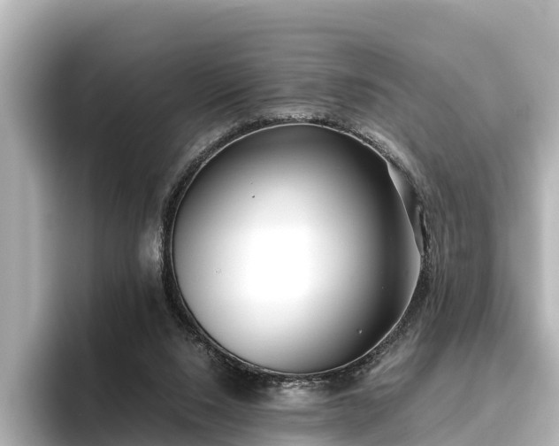 X0000096420064200801311420