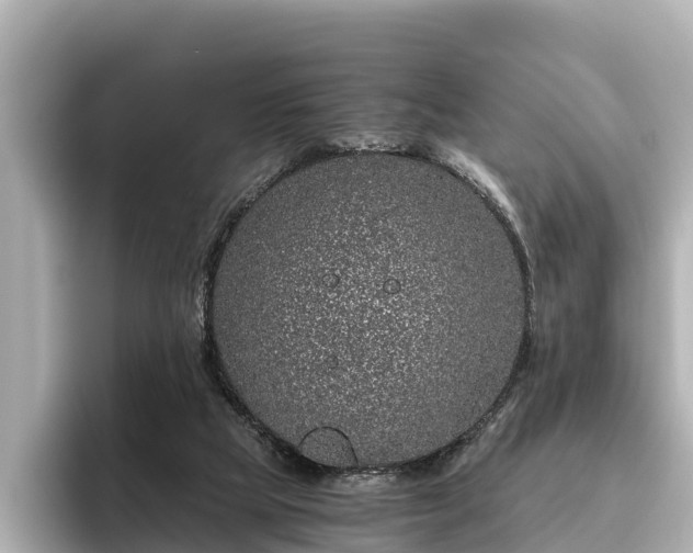 X0000096420065200801311420