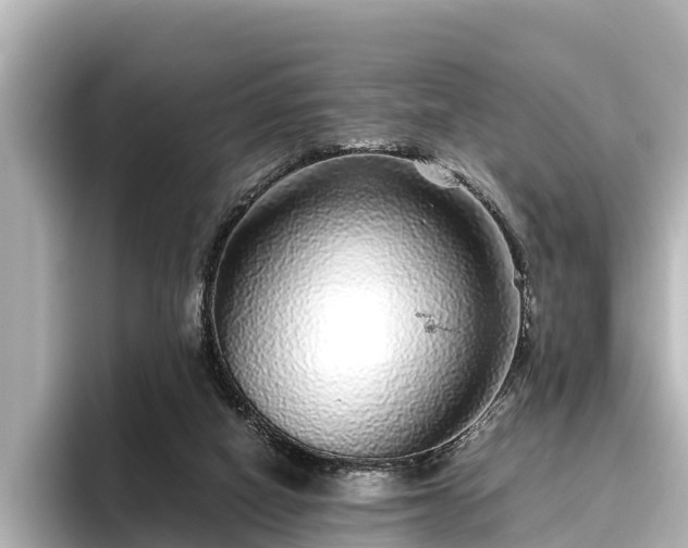 X0000096420066200801311420