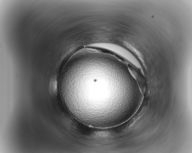 X0000096420067200801311420