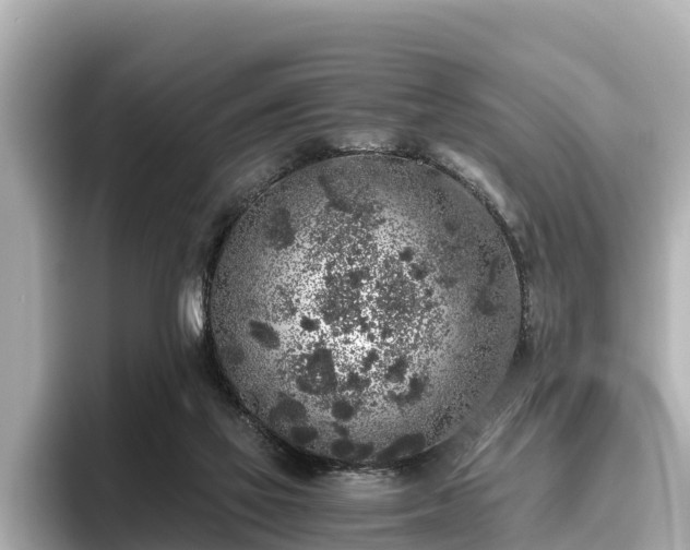 X0000096420069200801311421