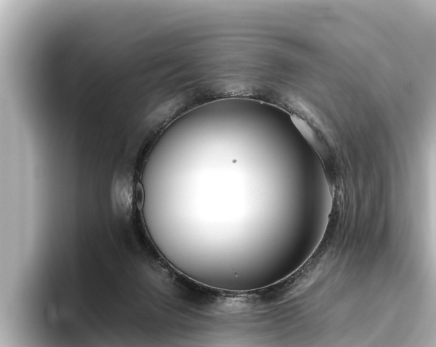 X0000096420072200801311421