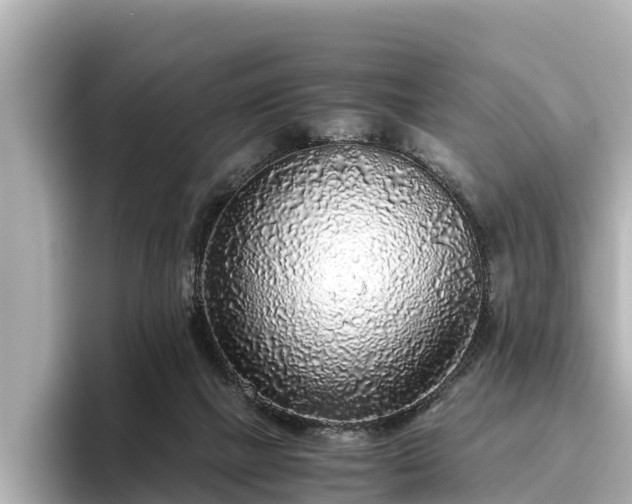 X0000096420073200801311421