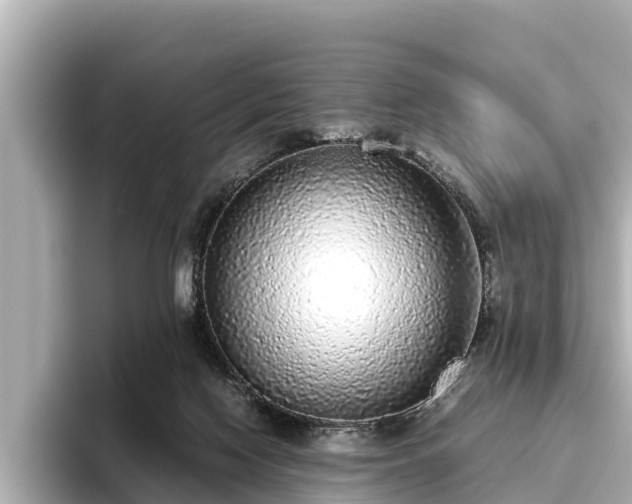 X0000096420074200801311421