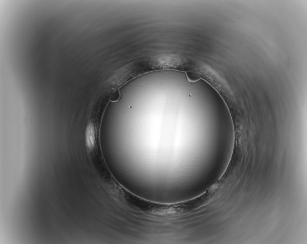 X0000096420075200801311421