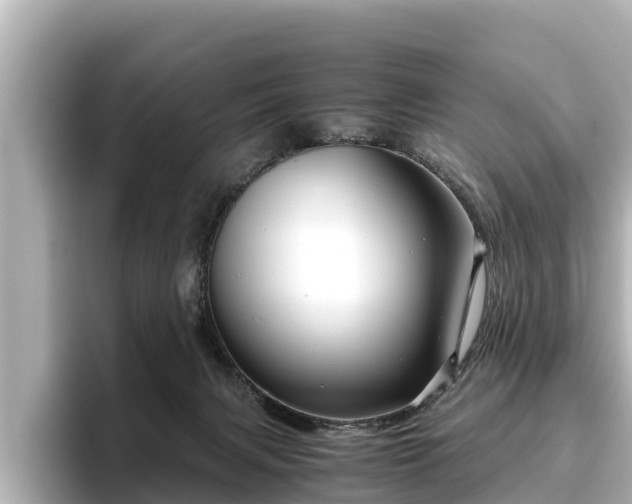 X0000096420079200801311421