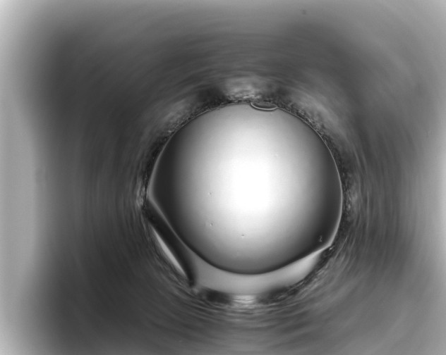 X0000096420081200801311421