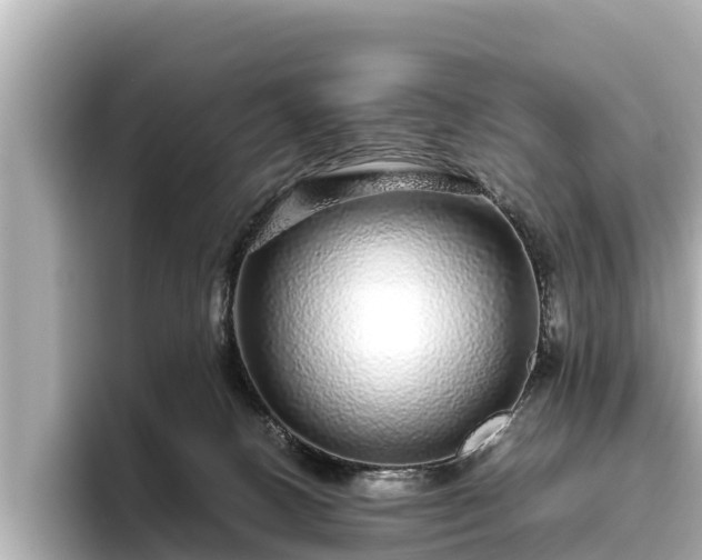 X0000096420082200801311421