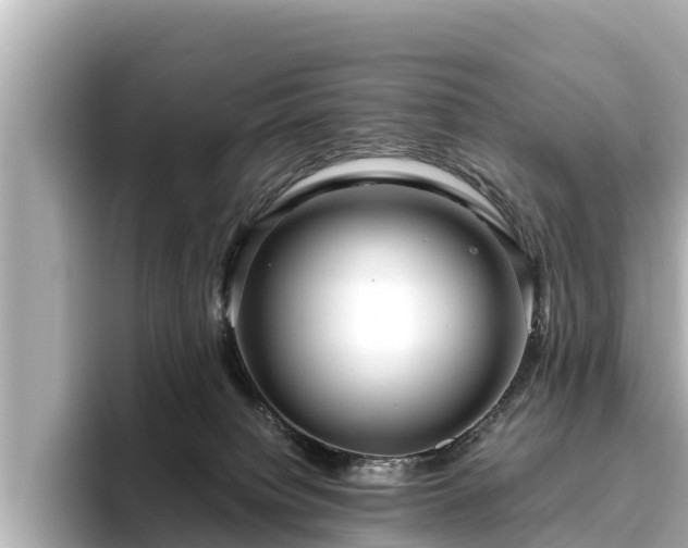 X0000096420084200801311421