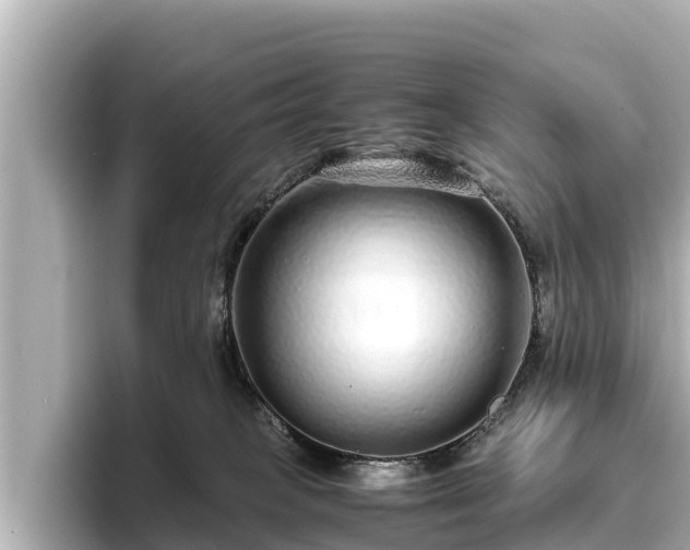 X0000096420085200801311421