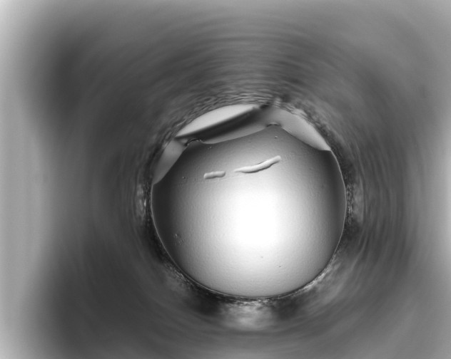 X0000096420086200801311421