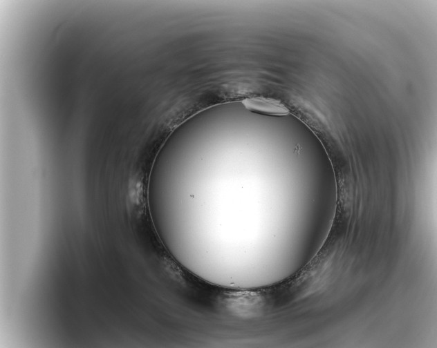 X0000096420087200801311421