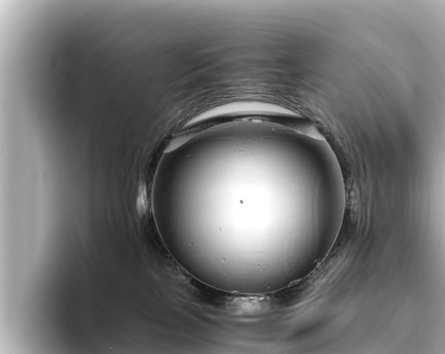 X0000096420089200801311421