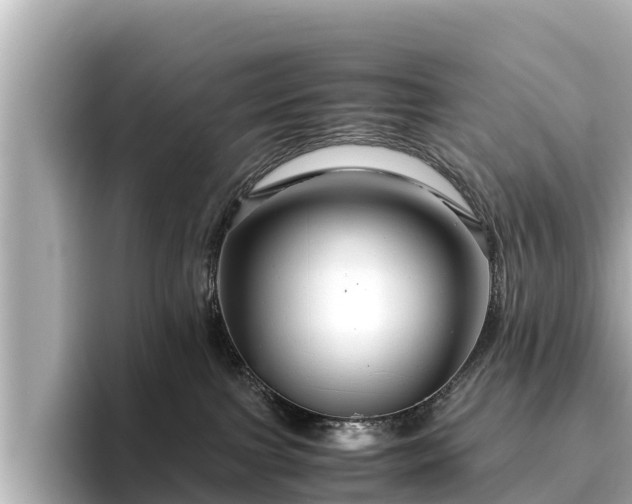 X0000096420091200801311421