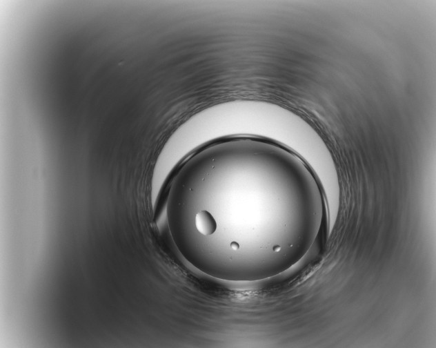 X0000096420092200801311421