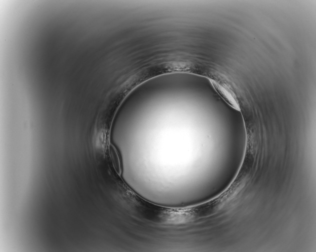 X0000096420093200801311421