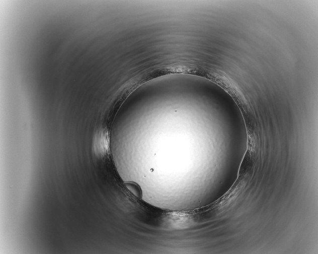 X0000096420095200801311421