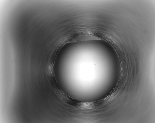 X0000096420096200801311421