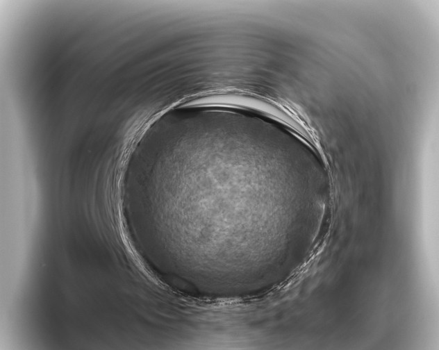 X0000096420097200801311420